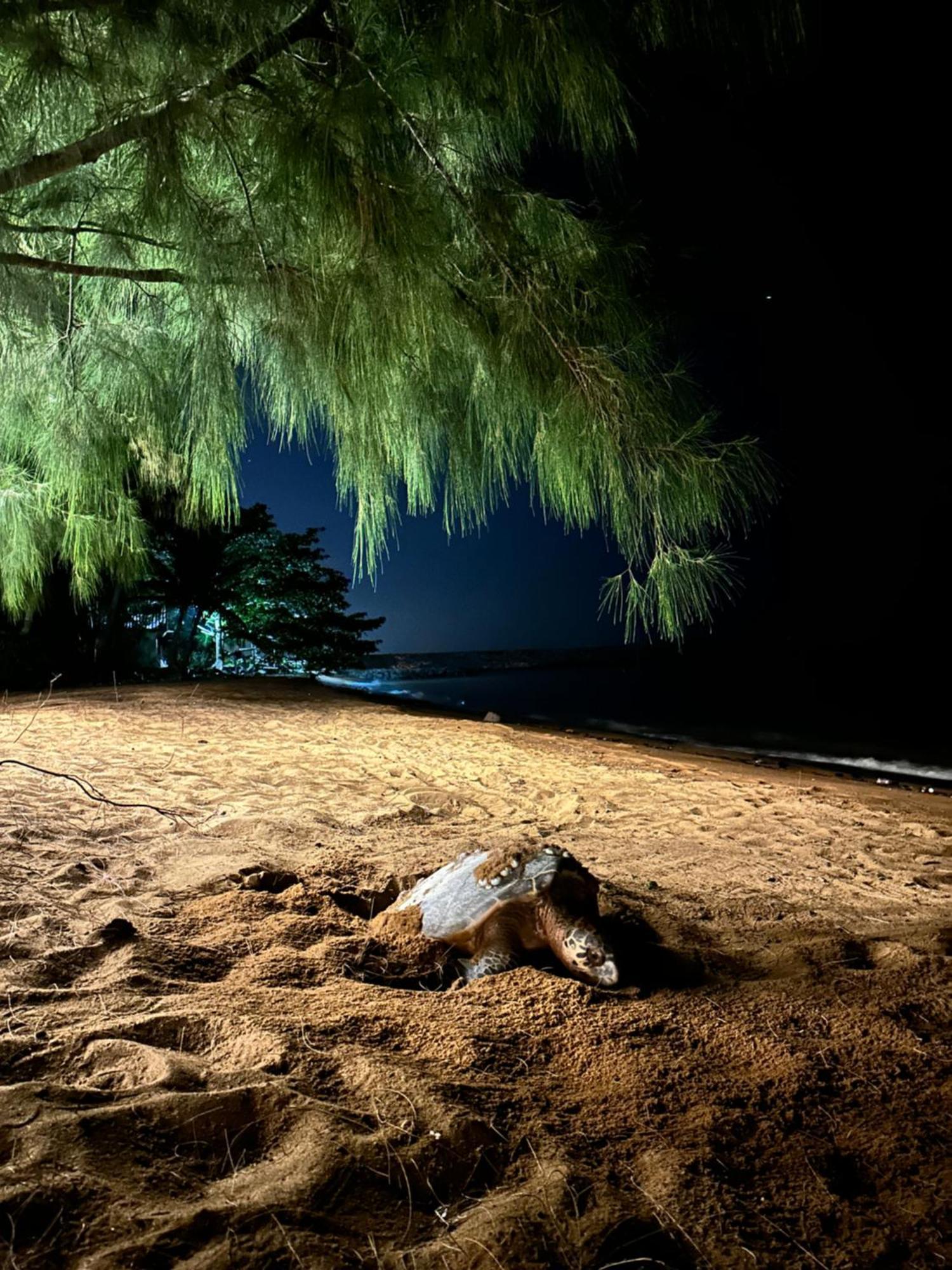 Beach N Breeze Glamping Malacca Exterior foto